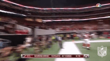 atlanta falcons football GIF by NFL