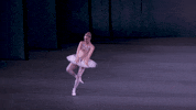 sara mearns dance GIF by New York City Ballet