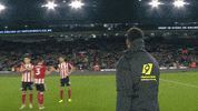Sheffield United Blades GIF by Sheffield United Football Club