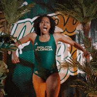 South Florida Horns Up GIF by USF Athletics