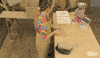 Roll Kneading GIF by The Great Pottery Throw Down
