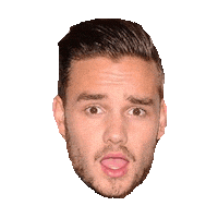 onedirection STICKER by imoji