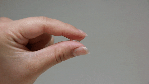 Lee_K_L giphyupload GIF