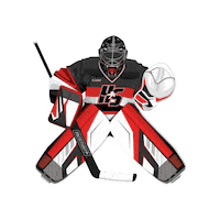 Sticker by hockeyshot