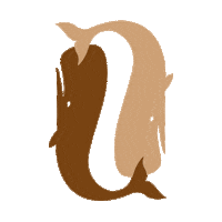 Brown Ale Whale Sticker by Community Beer Works