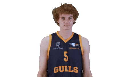 Sport Basketball Sticker by Basket_fi