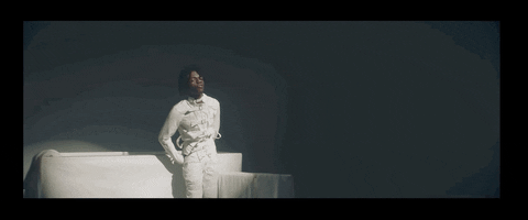 Music Video Applause GIF by whiterosemoxie