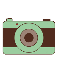 selfie camera Sticker by Zaans