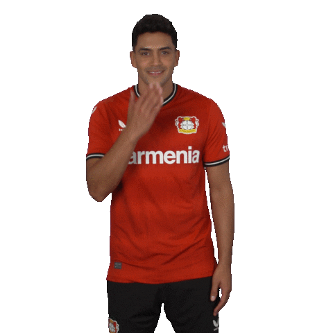 I Love You Kiss Sticker by Bayer 04 Leverkusen