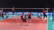 GIF by Volleyball World