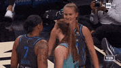 New York Liberty No GIF by YES Network
