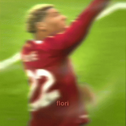 Liverpool Fans GIF