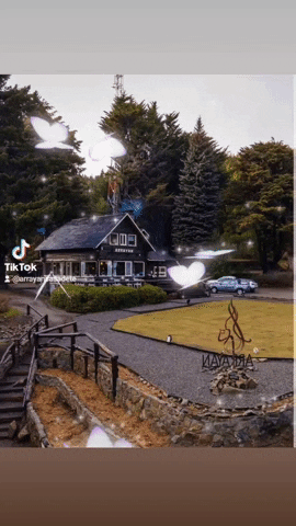 GIF by Arrayán Casa de Té