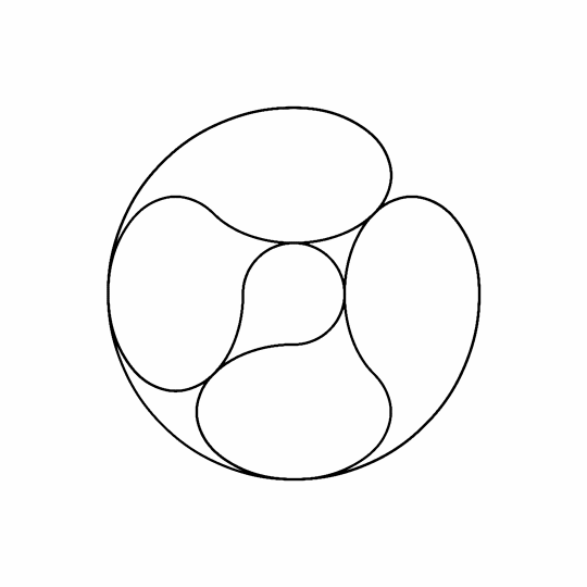 loops declan zimmermann GIF