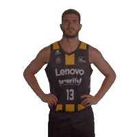 Liga Endesa Yes Sticker by ACB