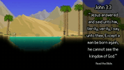 Palm Trees Community GIF