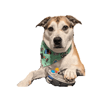 Video Games Press Start Sticker by Geekster Pets