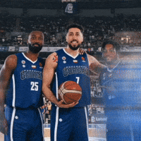 Basketball Hamilton GIF