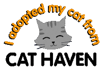 Cats Sticker by Cat Haven WA