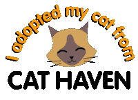 Cats Sticker by Cat Haven WA