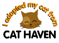 Cats Sticker by Cat Haven WA