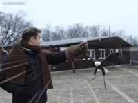 Birds Eagle GIF
