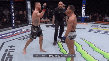 Michael Chandler Sport GIF by UFC