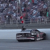 Celebration Win GIF