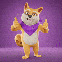 Happy Good Vibes GIF by Doge Pound