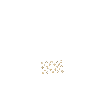 Logo Shine Sticker
