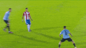 Albirroja Nande GIF by Pilsen Paraguay
