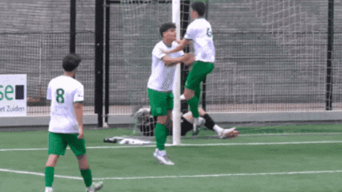Sport Heerlen GIF by Groene ster