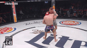 GIF by Bellator