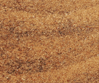 Myrtle Beach Baseball GIF by TripleCrownSports