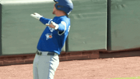 Blue Jays Baseball GIF by Toronto Blue Jays