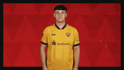 Dynamo Dresden Applause GIF by Bundesliga
