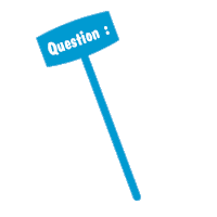 BRITVICTEISSEIRE question quiz quizz sirop Sticker