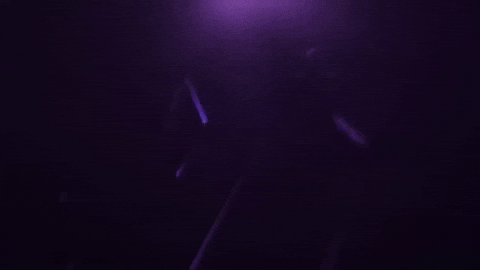Oshinoko GIF