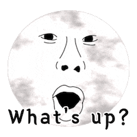 Whats Up Sticker