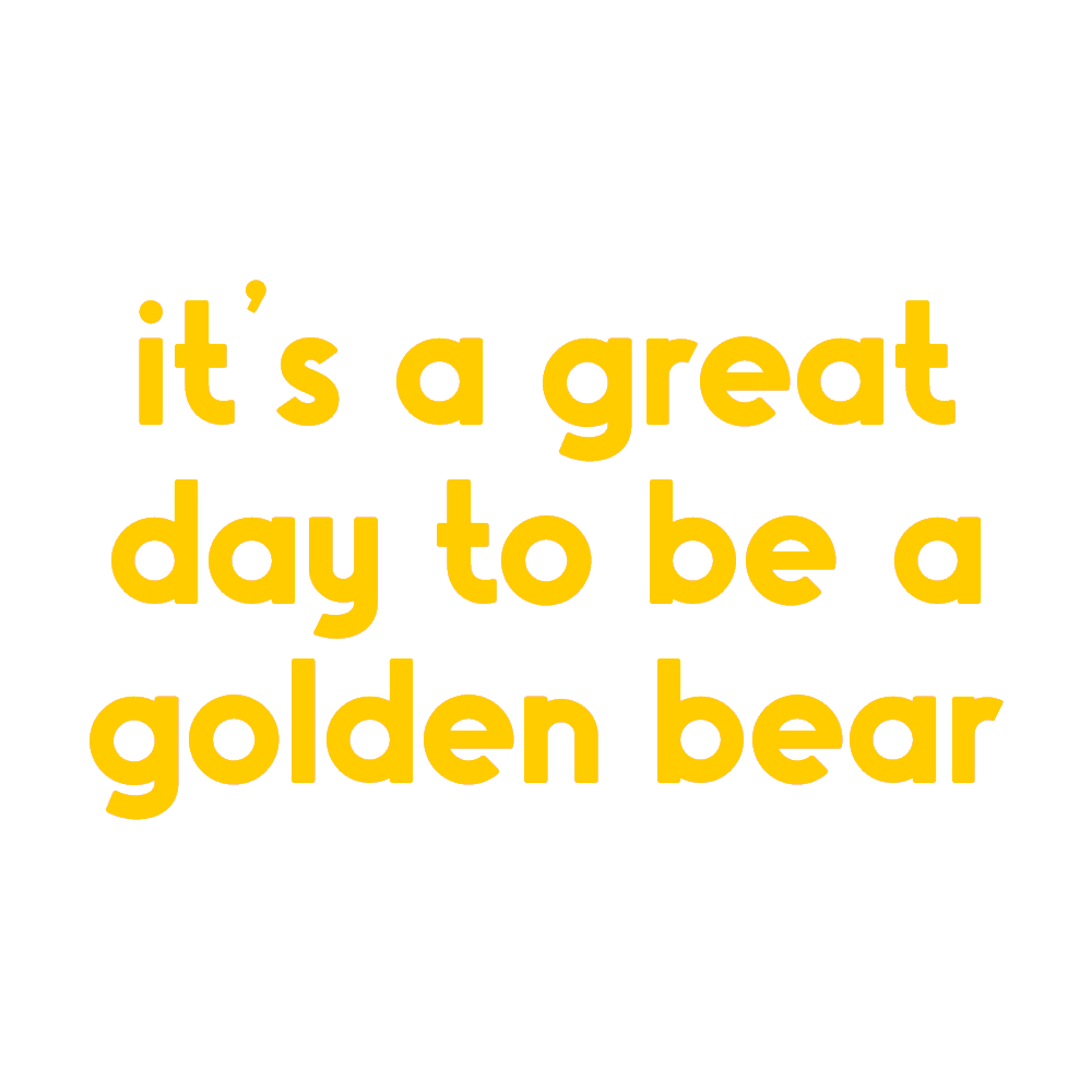 Golden Bears Wne Sticker by Western New England University