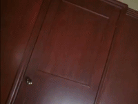 are you afraid of the dark nicksplat GIF