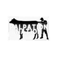 FenVetClinic fenny fenvet cow vet codycreelman Sticker