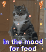 GIF by Suze Perlov 