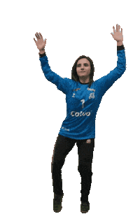 Handball Wall Sticker by balonmanxiria