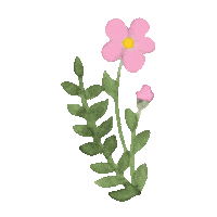 littlewinkssleep baby sleep mama babies Sticker