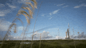 Space Rocket GIF by NASA