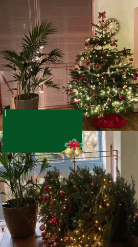 ritaverduin  GIF