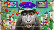 Money Love GIF by systaime