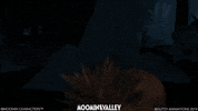 moominofficial moomin moominvalley moomins snufkin GIF