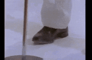 wetar fishing loading roll rick GIF